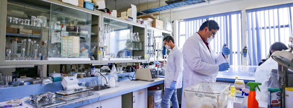 Licenciatura en Educación en el Área de Ciencias Naturales